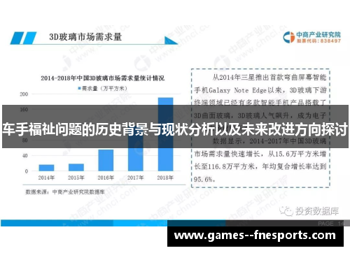 车手福祉问题的历史背景与现状分析以及未来改进方向探讨