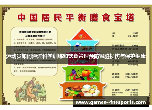 运动员如何通过科学训练和饮食管理预防肾脏损伤与保护健康